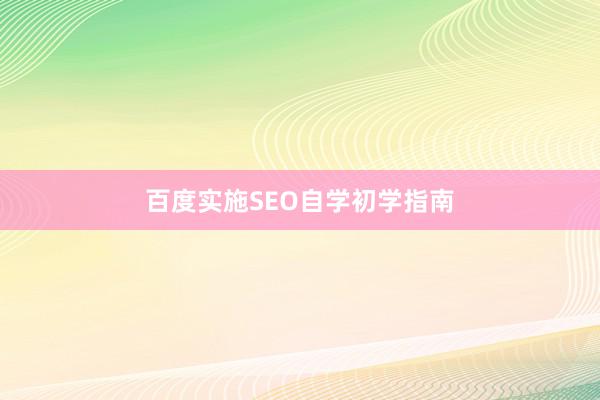百度实施SEO自学初学指南